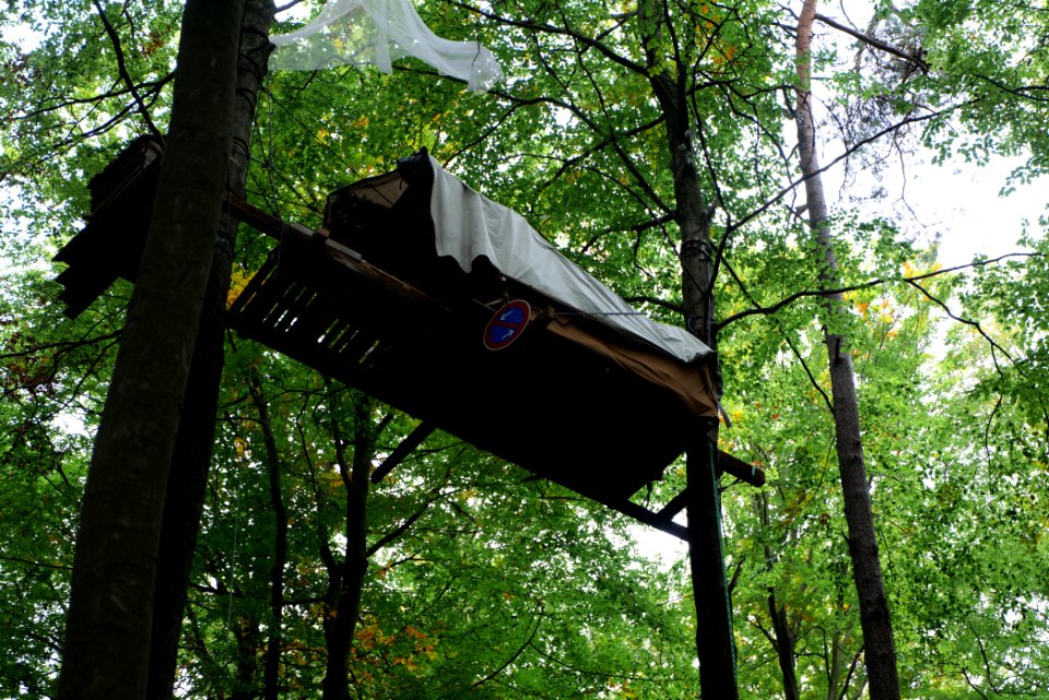 Dannenrod forest occupation 2020-10-08 01