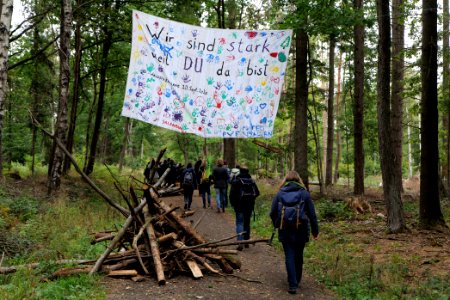 Dannenrod Forest forestwalk 2020-10-04 16