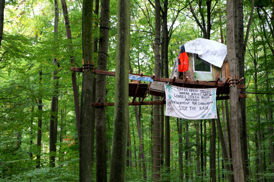 Dannenrod forest occupation 2020-10-08 11