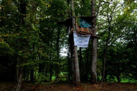 Dannenrod forest occupation 2020-10-08 24