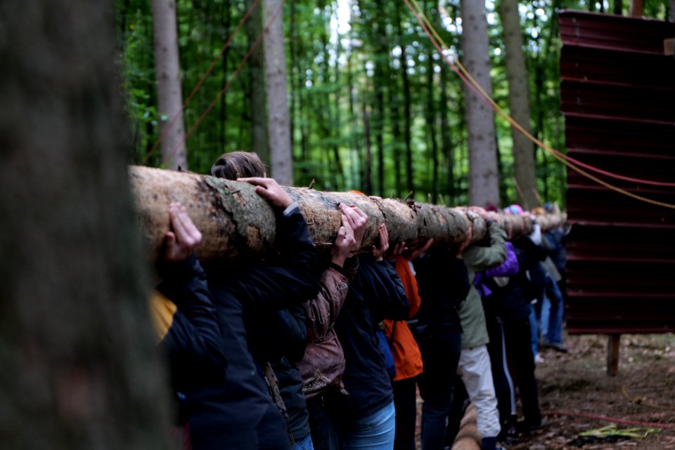 Dannenrod Forest forestwalk 2020-10-04 48