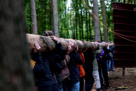 Dannenrod Forest forestwalk 2020-10-04 48