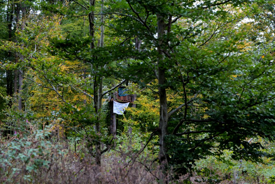 Dannenrod forest occupation 2020-10-08 17