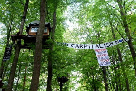 Dannenrod forest occupation 2020-10-08 10