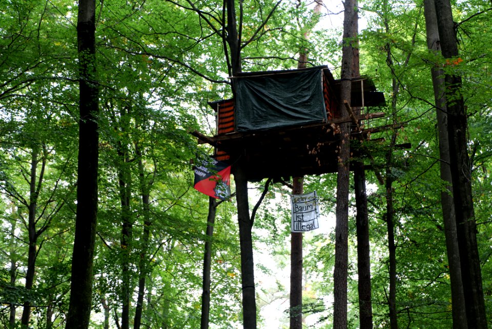 Dannenrod forest occupation 2020-10-08 04