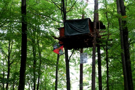 Dannenrod forest occupation 2020-10-08 04