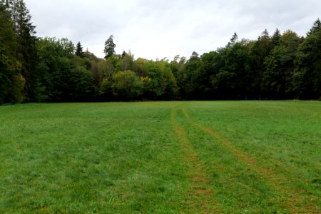 Dannenrod forest 2020-10-08 24