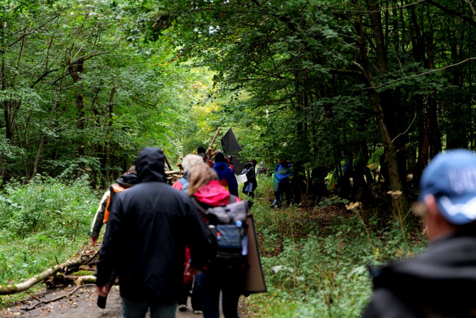 Dannenrod Forest forestwalk 2020-10-04 22