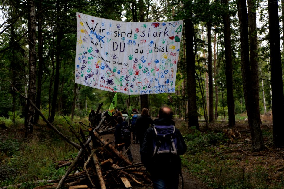 Dannenrod Forest forestwalk 2020-10-04 14