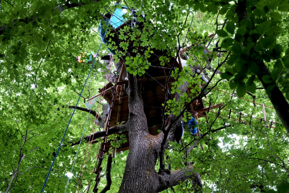 Dannenrode forest occupation 2020-08-21 74