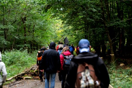 Dannenrod Forest forestwalk 2020-10-04 23