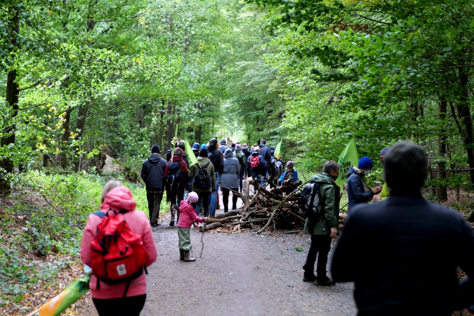 Dannenrod Forest forestwalk 2020-10-04 05