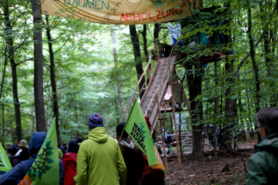 Dannenrod Forest forestwalk 2020-10-04 38