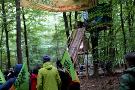 Dannenrod Forest forestwalk 2020-10-04 38