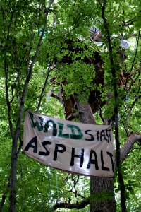 Dannenrode forest occupation 2020-08-21 82