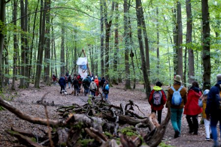 Dannenrod Forest forestwalk 2020-10-04 34
