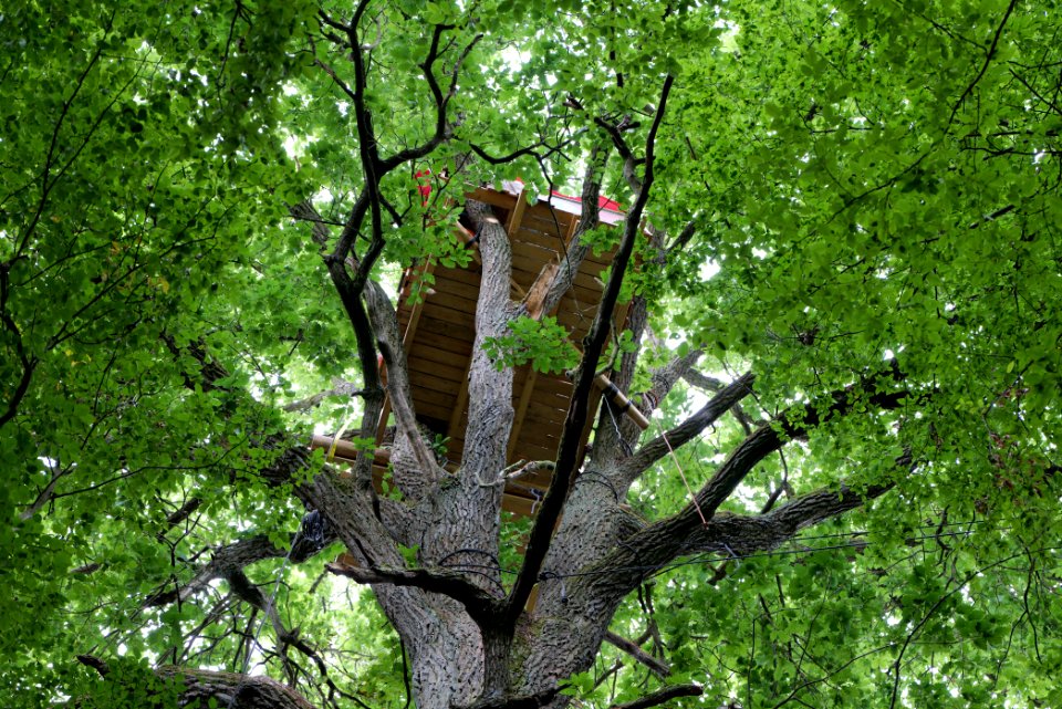 Dannenrode forest occupation 2020-08-21 44