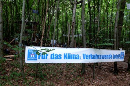 Dannenrode forest occupation 2020-08-21 84