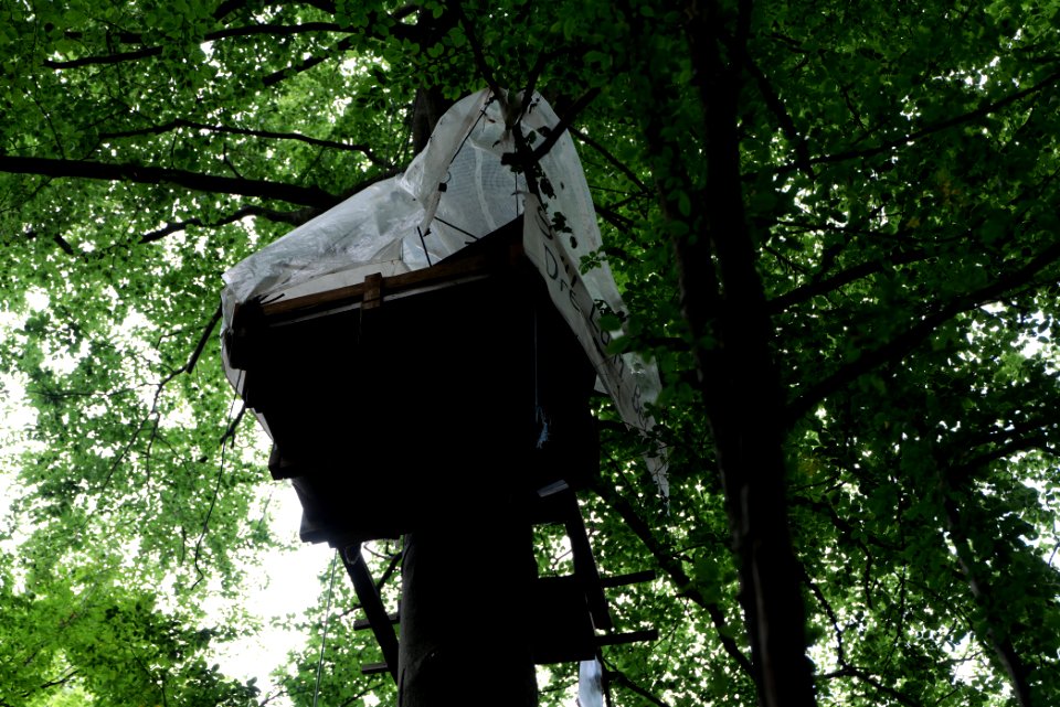 Dannenrode forest occupation 2020-08-21 96