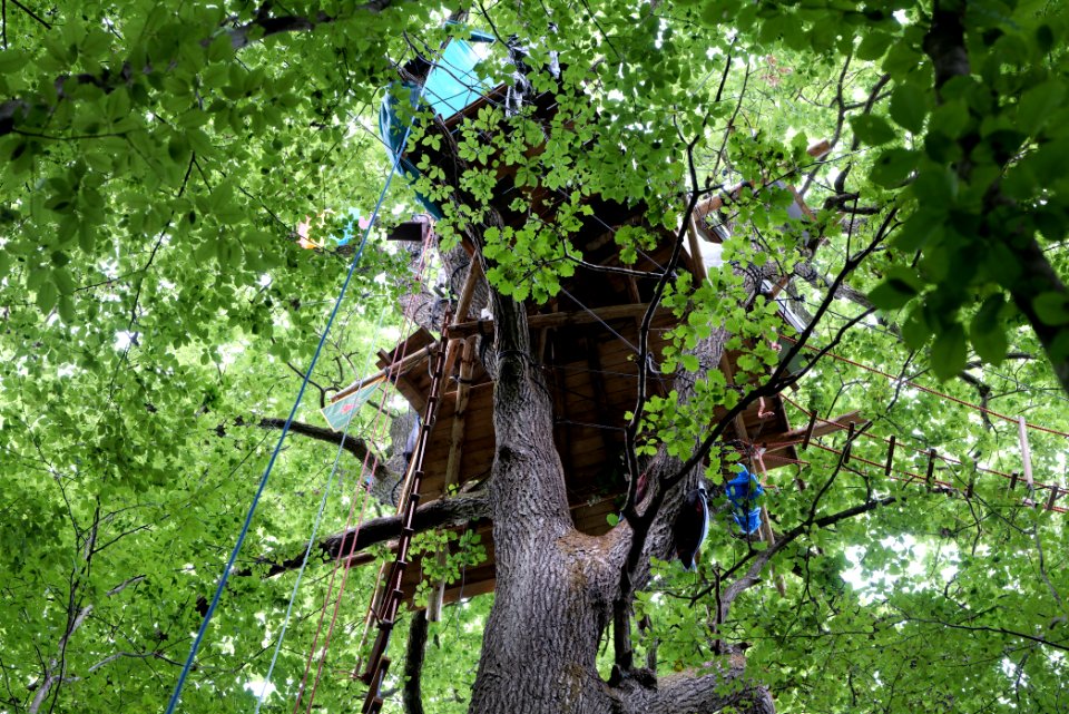 Dannenrode forest occupation 2020-08-21 71