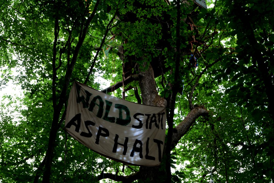 Dannenrode forest occupation 2020-08-21 68