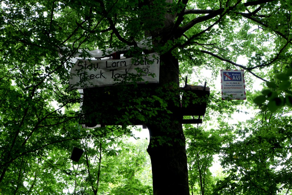 Dannenrode forest occupation 2020-08-21 91