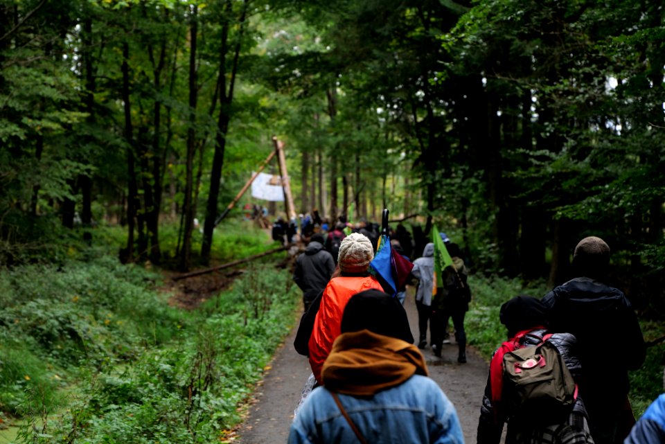 Dannenrod Forest forestwalk 2020-10-04 09