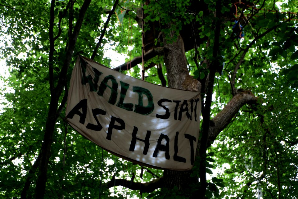 Dannenrode forest occupation 2020-08-21 67
