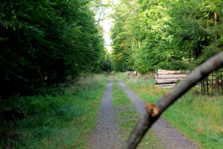 Dannenrod Forest 2020-10-04 46