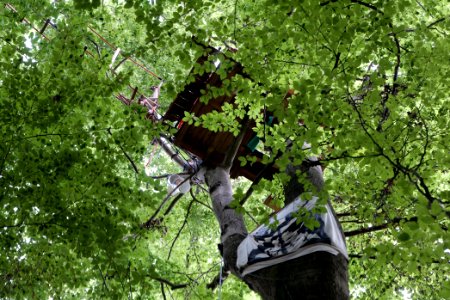 Dannenrode forest occupation 2020-08-21 80