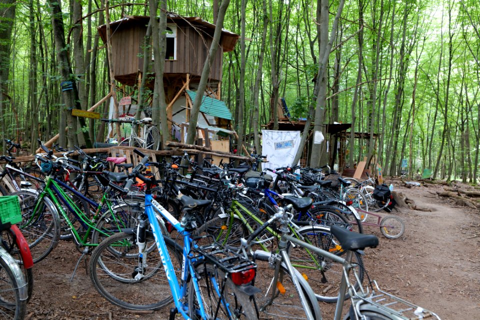 Dannenrode forest occupation 2020-08-21 77