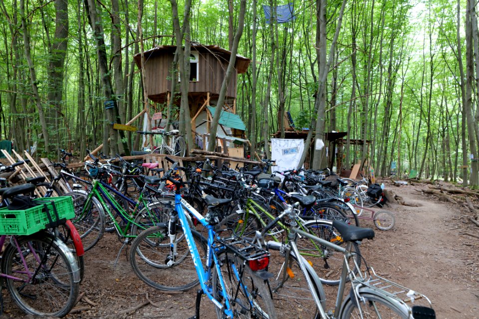 Dannenrode forest occupation 2020-08-21 76