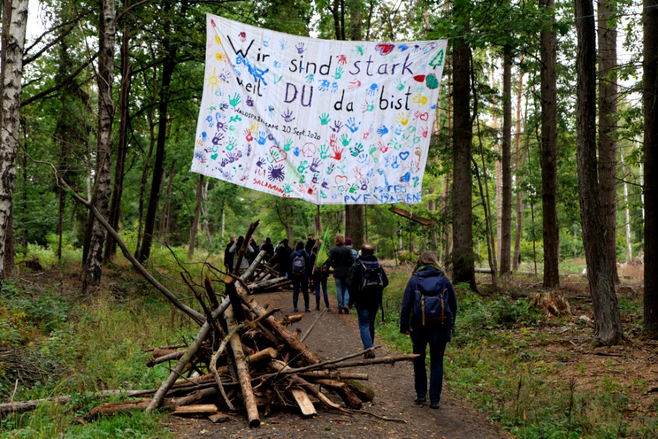 Dannenrod Forest forestwalk 2020-10-04 17