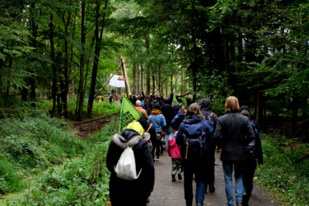 Dannenrod Forest forestwalk 2020-10-04 12