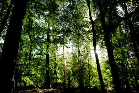 Dannenrod Forest 2020-10-04 18
