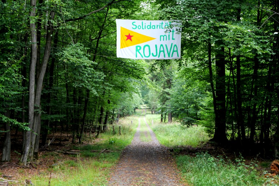 Dannenrode forest occupation 2020-08-21 34