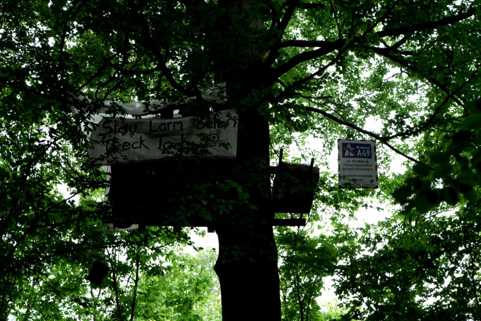 Dannenrode forest occupation 2020-08-21 90