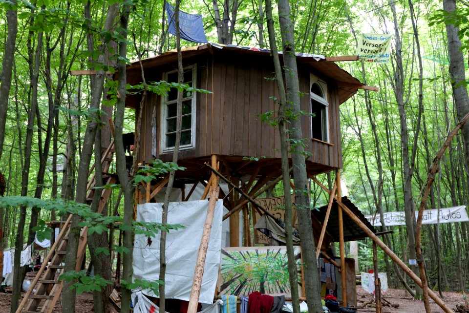 Dannenrode forest occupation 2020-08-21 64