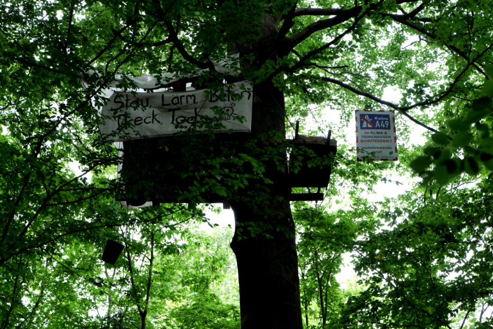 Dannenrode forest occupation 2020-08-21 92