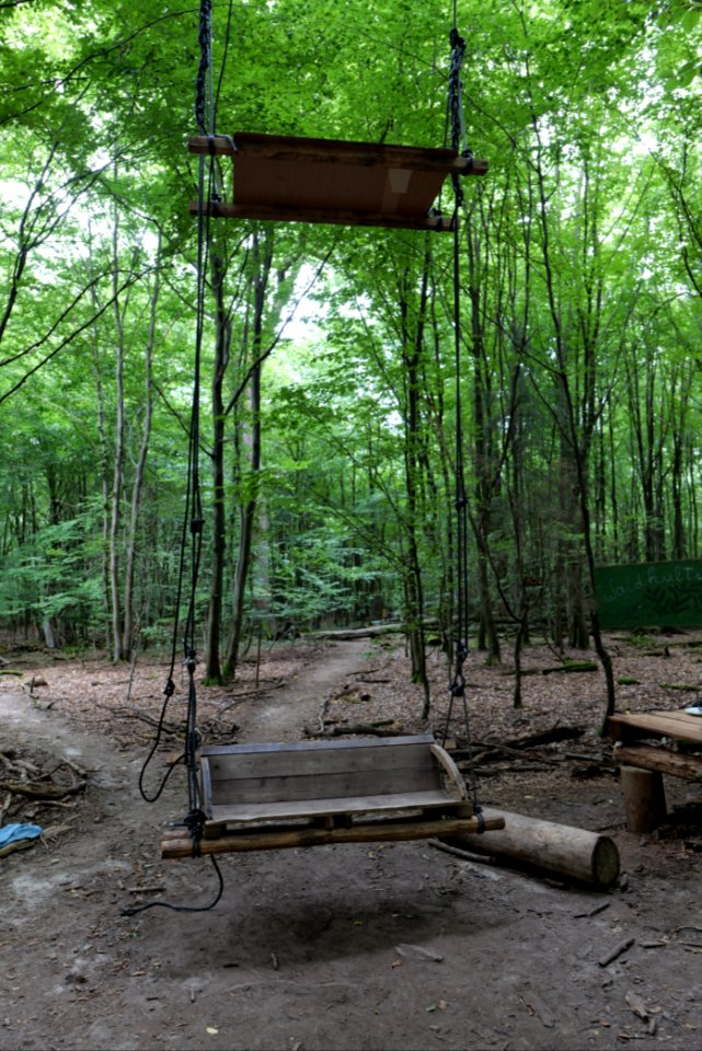 Dannenrode forest occupation 2020-08-21 95