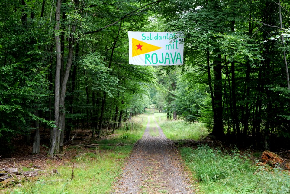 Dannenrode forest occupation 2020-08-21 35