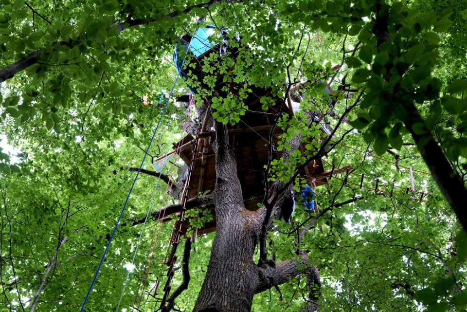 Dannenrode forest occupation 2020-08-21 73