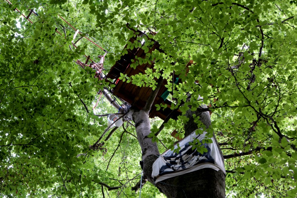 Dannenrode forest occupation 2020-08-21 79
