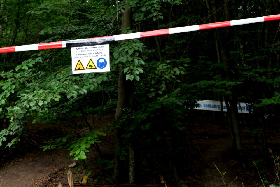Dannenrode forest occupation 2020-08-21 99