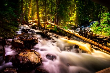 Water landscape forest photo