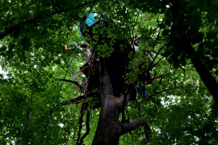 Dannenrode forest occupation 2020-08-21 72
