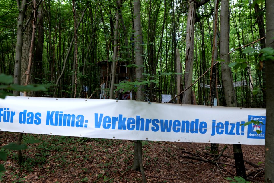 Dannenrode forest occupation 2020-08-21 83