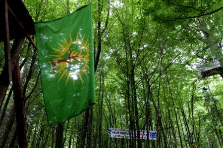 Dannenrode forest occupation 2020-08-21 59