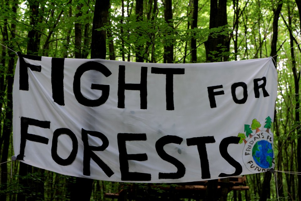 Dannenrode forest occupation 2020-08-21 50