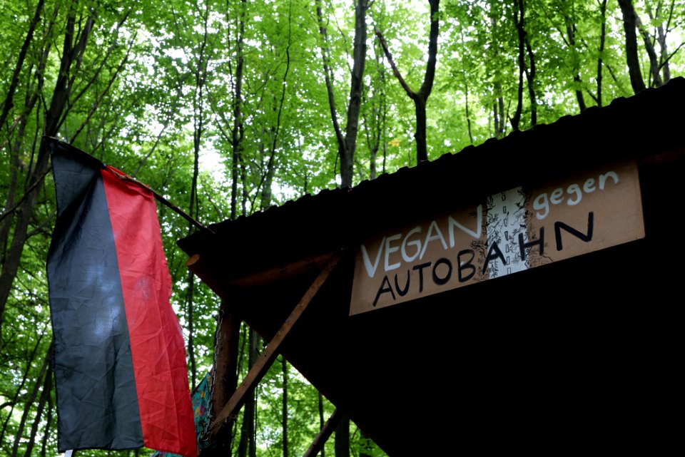 Dannenrode forest occupation 2020-08-21 57